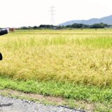 高島ほ場整備が本格化