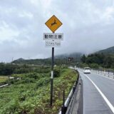 国道シカ・イノシシに注意 ロードキル減へ １６１号標識に出没目安距離